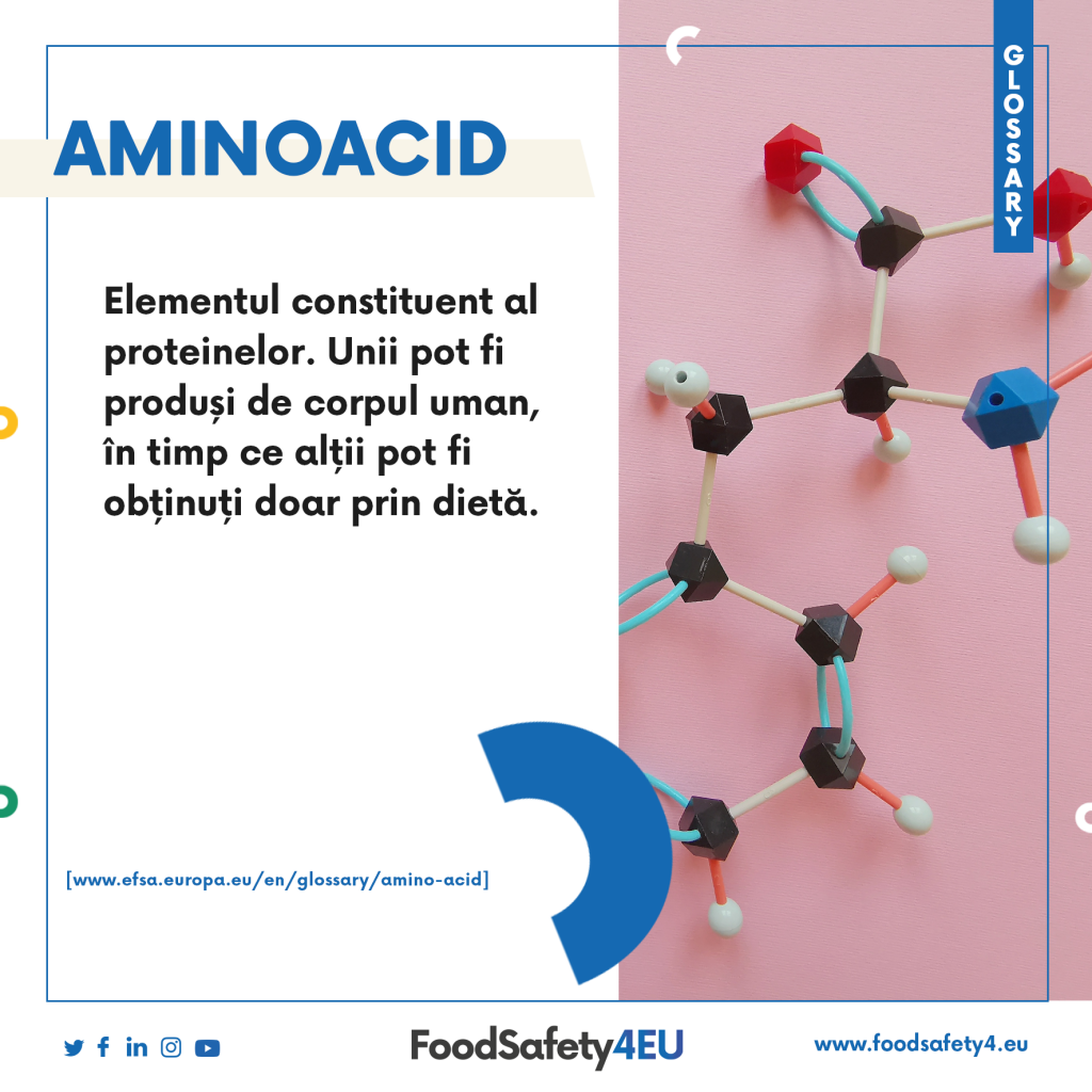 Do you know waht amino acid is? Discover it in different languages!